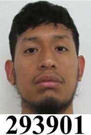 Offender Information