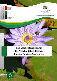 Image result for Ptycholobium plicatum