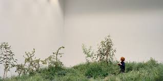 Two Worlds At The 16th Venice Architecture Biennale The Monthly