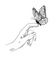 Butterfly Sketch Vector Images Over 7 700 The dog has a bone in his teeth.