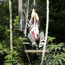 Khazanah pokok ubat harian metro via www.hmetro.com.my. Skytrex Langkawi Adventure Perdana Quay Langkawi Island Whoa Adventures Best Malaysia And Borneo Discount Adventure Cheap Travel Deals In Asia