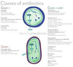 Antibiotic Classes And Mechanism Nurse Pharmacology Nursing Nursing School