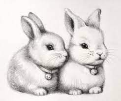 Pin On Cute Animal Drawings