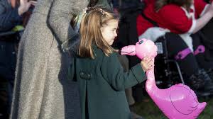 Последние твиты от prinzessin charlotte (@eloquinzessin). Princess Charlotte And The Pink Flamingo The Moving Story World Today News