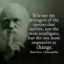 St. Mels Psychotherapy Practice