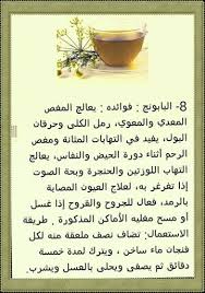 فوائد نباتية للمعرفة plant benefits herbal shop how to stay healthy