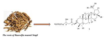 Image result for Rauvolfia mannii