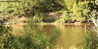Catfish, crappie, bluegill and sand bass can be retained. Purtis Creek State Park