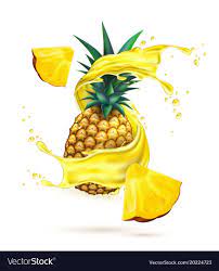 Realistic Pineapple Juice Splash Slice Royalty Free Vector Pineapple Juice Fruit Splash Pineapple