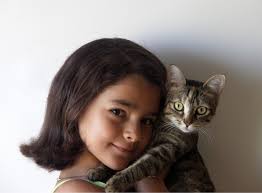 Feiert den internationalen katzentag mit uns und zeigt eure kreativität: Internationaler Tag Der Katze Wikipedia