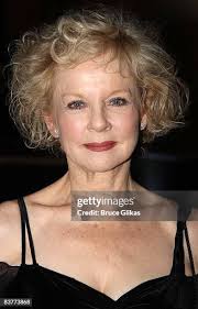 351 Bruce Fuller Stock Photos, High-Res Pictures, and Images