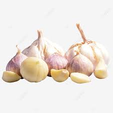 We did not find results for: Gambar Bawang Putih Yang Sihat Dan Sekumpulan Bawang Putih Yang Dikupas Clipart Bawang Putih Bawang Putih Tanaman Png Dan Clipart Untuk Muat Turun Percuma