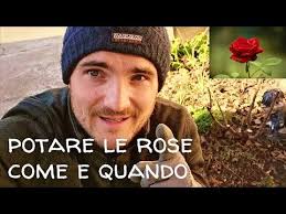 Guida alla Potatura delle Rose: Il Periodo Ideale