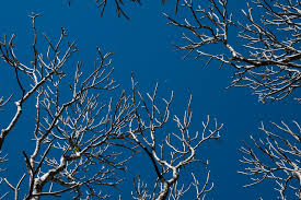 The recent slide is a reversal from the dramatic rise that started in the second half of last year. Bitcoin Cash Eos Drop 13 As Crypto Market Sheds 30 Billion Overnight