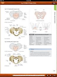 Kup thieme atlas of anatomyna ebay. Modalitybody Thieme Atlas Of Anatomy App For Medical Students And Physicians