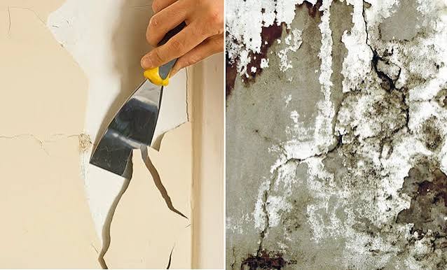 Technicien préparant un mur avant peinture — ponçage et rebouchage des fissures