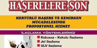 Avcilar Bocek Ilaclama Beylikduzu Bocek Ilaclama Avcilar Fare Ilaclama Beylikduzu Fare Ilaclama Pire 2020 Bocek Fareler Avcilar