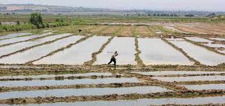 Ebrd And Eu Launch Programme To Support Farmers In Tajikistan Farmer Outdoor Tajikistan