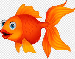 Mau tahu 5 resep umpan jitu ikan mas? Ikan Mas Ikan Mas Kartun Indah Png Pngwing