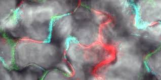 With two appearances on cbs this morning and fresh air's most popular interview of 2017, matthew walker has made abundantly clear that sleep is one of the . Unlocking The Power Of The Microbiome Eurekalert