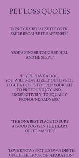 Dog gone 20 inspirational quotes about losing a dog. 340 Verses For Pets That Has Crossed The Rainbow Bridge Ideas Rainbow Bridge Pets Pet Loss Grief
