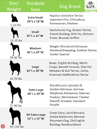 Dog Bed Size Chart Because Every Dog Large And Small