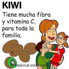 Resultado de imagen de kiwis