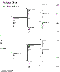 Free Family Tree Charts You Can Download Now Family Tree