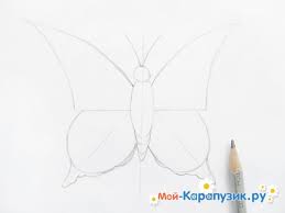 Aneka gambar sketsa kupu kupu indah dan cantik. Gambar Kontur Kupu Kupu Dengan Pensil Cara Menggambar Kupu Kupu Langkah Demi Pensil
