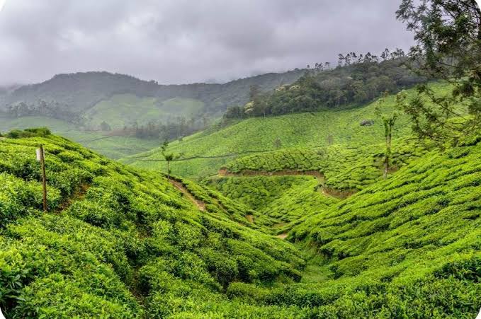 Kerala Monsoon Bliss