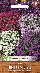 Image result for foto Lobelka