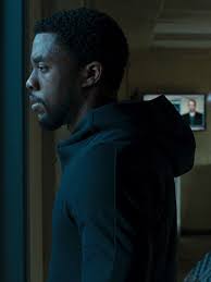 Black Panther Actors And Actresses Pin By Gail Mccurin On Black Panther Panther Pictures Black Panther Actors Actresses