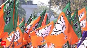Tatas are the largest political donors, BJP biggest recipient: ADR report |  India News - Times of India