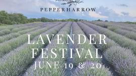 PepperHarrow Lavender Festival