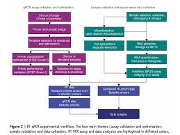 A wide range of applied biosystems™ products for gene expression analysis. Gene Quantification Optimisation Real Time Kinetic Pcr Rt Pcr Reactions