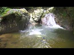 Sentul sendiri berjarak sekitar 48 km dari. Eksplorasi Santai Air Terjun Lubuk Petai Rembau Negeri Sembilan 6 5 2012 Youtube