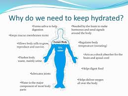 However, the water will escape from your skin if there is nothing to retain it. Passports And Equipment Out Please Ppt Download