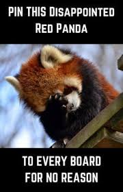 The Best Funny Pictures Of Today S Internet Best Funny Pictures Funny Pictures Funny Animals