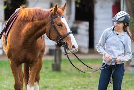 Lets draw a horse head looking straight towards us! 15 Horseback Riding Centers In The Cincinnati Area 365 Cincinnati