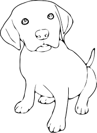 Las Mejores Imagenes De Perros Pequenos Por Tipo Tiernos Con Frases Por ello te traemos mas imagenes de perritos tiernos que puedes pintar libremente. las mejores imagenes de perros