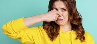 While the term musty often brings to mind an. Musty Vs Moldy Home Air Check