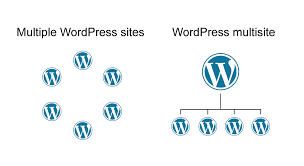 To install new themes on your multisite network, you'll use the themes area. Wordpress Multisite Vs Multiple Single Sites Pros And Cons Wishdesk