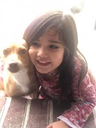 Lost Rabbit in Cambridge Grove Development Huntersville