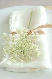 Pin By Trudi S Place On Baby S Breath Queen Annes Lace White Flowers Simply White