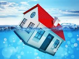 We did not find results for: Infiltration D Eau Comment Les Eviter Et Comment Les Traiter