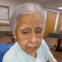 Ernestina Pena Alfaro Obituary (2024)