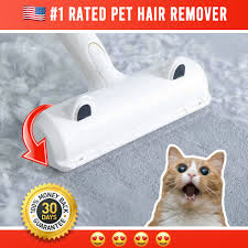 Vacuum the area as normal. Furaway The Best Pet Hair Removal Pet Hair Removal Pet Hair Pets