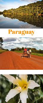 Paraguay grenzt an bolivien, brasilien und argentinien. Diese Landschaften Siehst Du Auf Deiner Paraguay Reise Sudamerika Reise Reisen Reisetipps