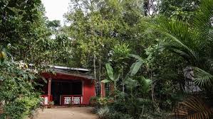 Homegarden Systems Of Indonesia Sri Lanka And Vietnam Our World