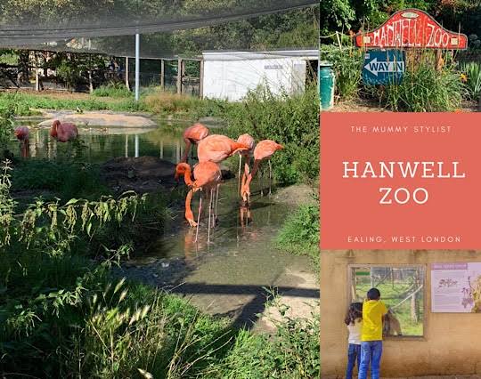 Hanwell Zoo | West London | The Mummy Stylist